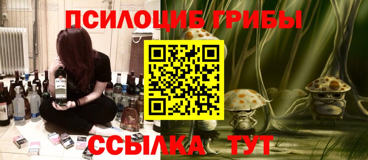 Псилоцибиновые грибы Psilocybe  Вход с VPN  Биробиджан 