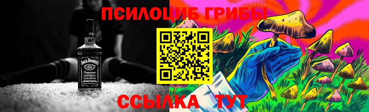Галлюциногенные грибы Cubensis Биробиджан