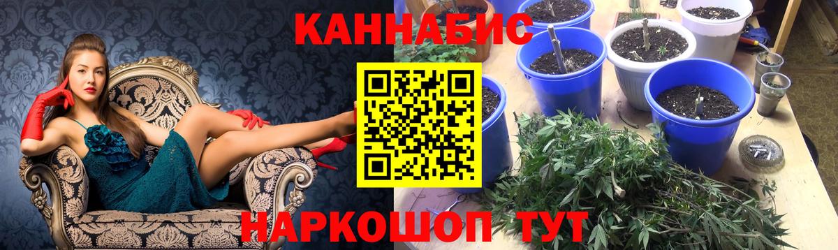 Марихуана семена Биробиджан